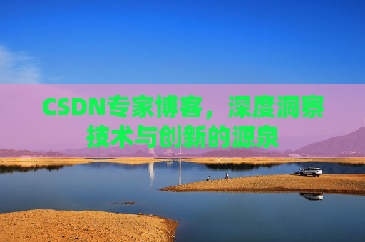 CSDN专家博客，深度洞察技术与创新的源泉